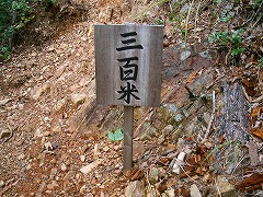 白山神社からの道
