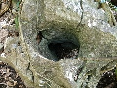 岩の穴